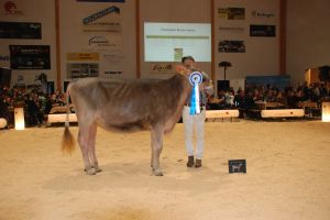 Champion BS_Brice Bolly_Elmar Hofstetter